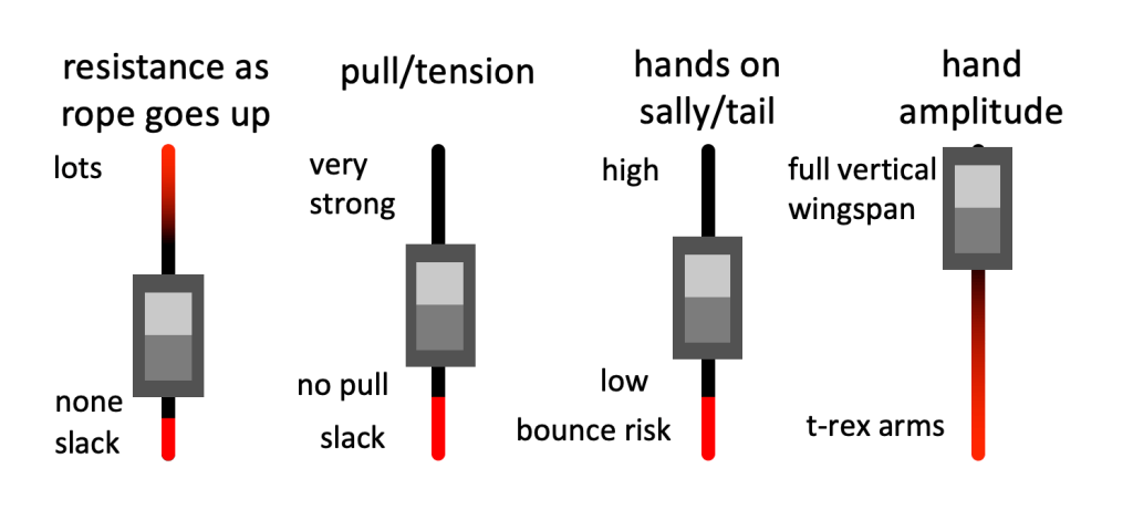 1. Resistance as rope goes up, varying from lots (bad) to none (good) to slack (bad again).
2. Pull/tension, varying from very strong to no pull to slack (bad).
3. Hands on sally/tail varying from high to low to bounce risk (bad).
4. Hand amplitude varying from full vertical wingspan (good) to t-rex arms (bad).